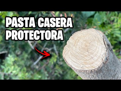 Cómo Hacer la MEJOR Pasta Cicatrizante Casera!! 🚀 Paso a Paso | La Huerta de Ivan