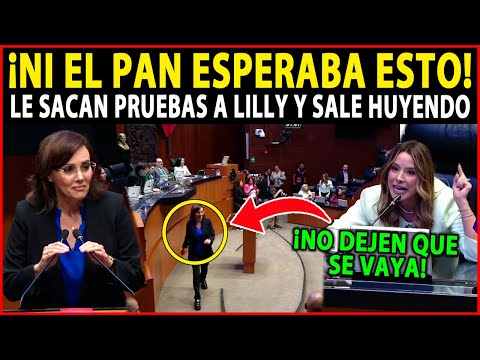 ¡SUCEDIO LO INESPERADO! SENADORA LE SACA PRUEBAS A LILLY TELLEZ Y SALE HUYENDO DEL SENADO