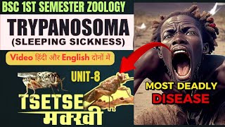 Trypanosoma BSc 1st Semester Zoology//BSc 1st Semester 2025 Zoology Unit 8//Trypanosoma Life Cycle 