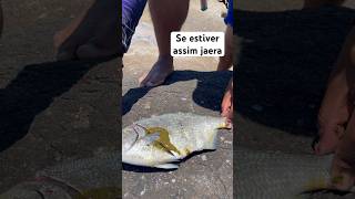 Se acontecer isso, jogue fora…