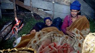 shepherd life of Nepal || Himalayan nomadic life || @ruralnepalquest