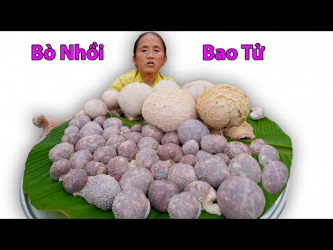 Bà Tân Vlog - Lần Đầu Làm Đĩa Bò Nhồi Bao Tử Mông Cổ Khổng Lồ