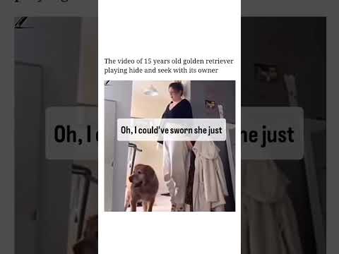 I feel so happy to watch this #cat #adoreble #funnypets #funny #petvideos #funnyanimals #shorts