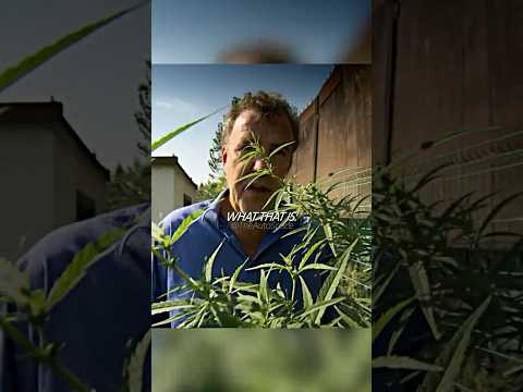 Somewhere in Romania…🤫#cars #thegrandtour #topgear