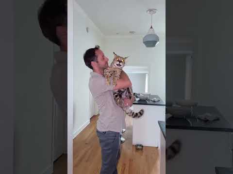 Welcoming us home โค๏ธ