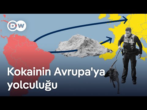 Avrupa nasıl kokain ticaretinin merkezi haline geldi?