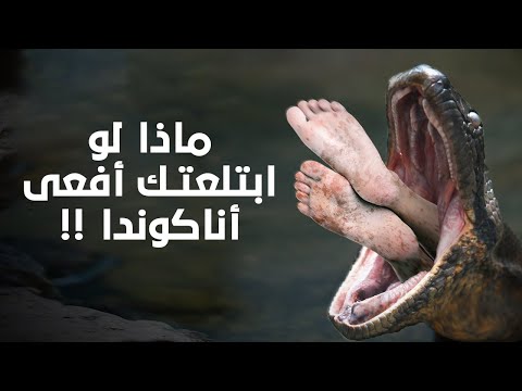 ماذا لو ابتلعتك أفعى أناكوندا !!