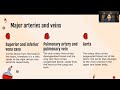 Human Heart and Circulatory System Concepts