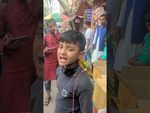 আলী রাজের পাখি ১৫ হাজার টাকা