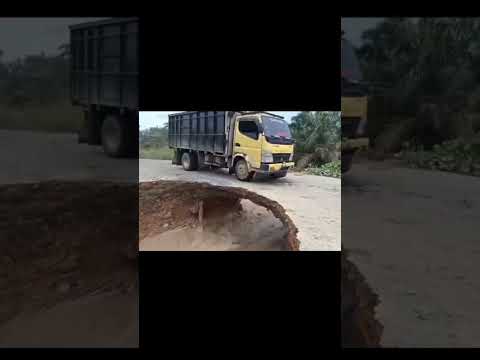 Tha bridge- Support link in description