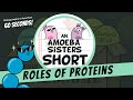 Understanding the Roles of Proteins