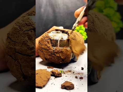 ¡Rescaté un Juguete Abandonado y Cambié una Vida! 🧸✨ | ¡No Creerás el Final! ❤️