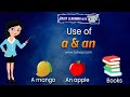 Understanding the Use of 'A' and 'An'