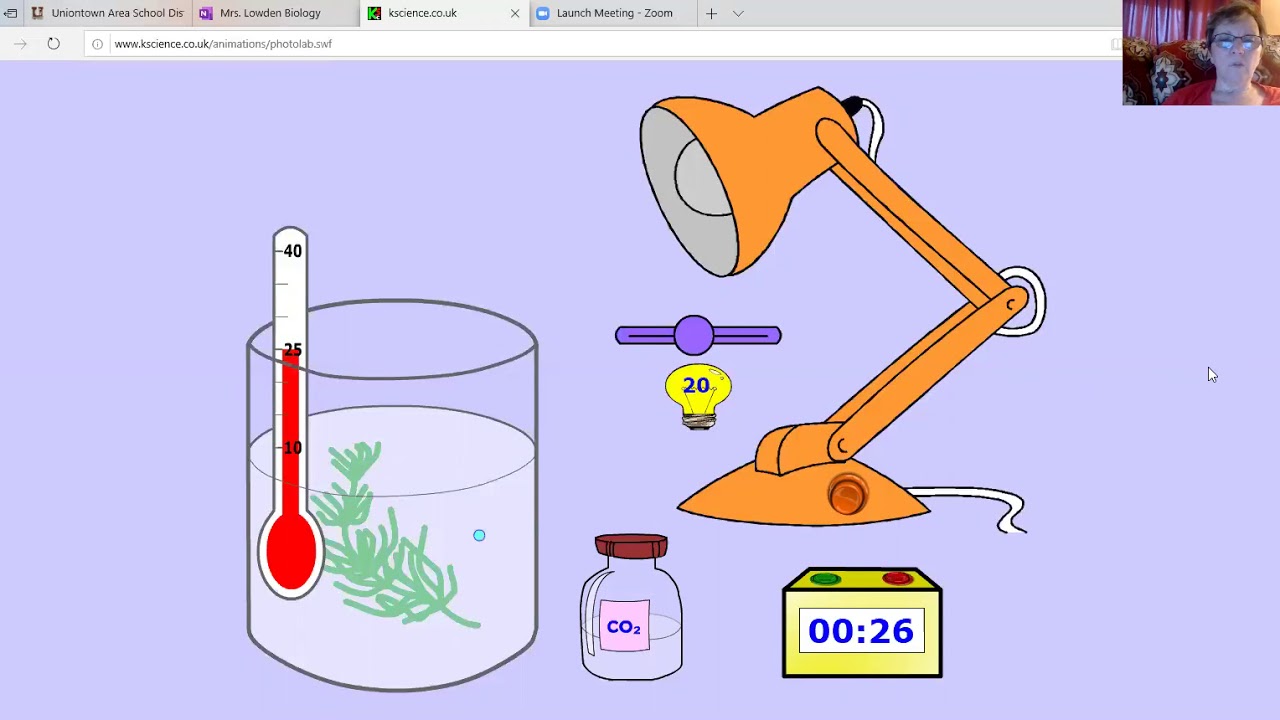 Photosynthesis Virtual Lab Worksheet: Exploring the Wonders of Plant Life