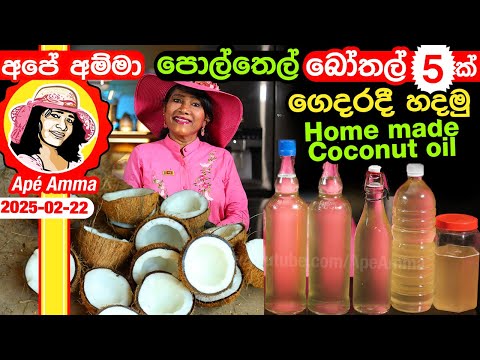 ✔ Ape Amma පොල්තෙල් බෝතල් 5ක් ලාබෙට ගෙදරදී හදමු Homemade Virgin coconut oil by Apé Amma