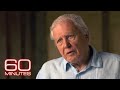 Sir David Attenborough's Environmental Journey