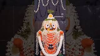 ଜୟ ଜଗନ୍ନାଥ ⭕❗⭕ #viralvideo #oldodiabhajan #jayjagannathswami