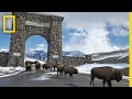 Understanding Yellowstone National Park