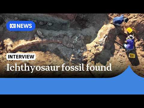 YouTube video thumbnail: 100-Million-Year-Old Dolphin-Like Fossil Found in Outback QLD