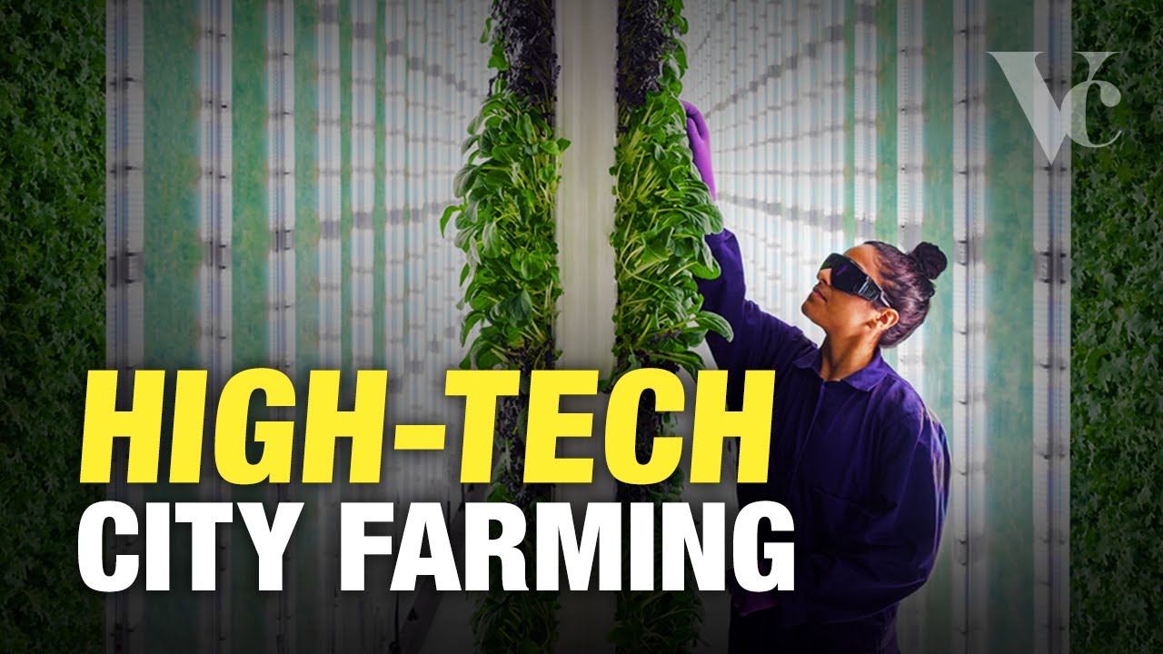Why the Future of Farming is in Cities - The Big Money in Vertical Farming