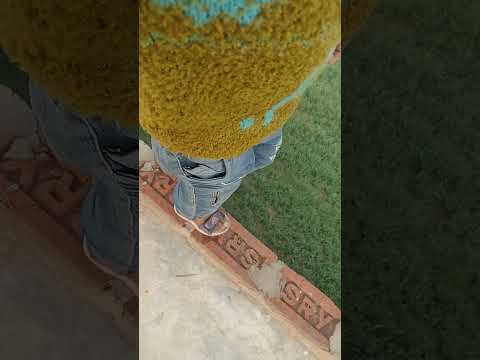 Ae Dil โค๏ธโค๏ธโค๏ธ Aashiqana Ae Dil # shorts # ๐โค๏ธ๐ # Aary yadav