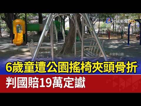 6歲童遭公園搖椅夾頭骨折 判國賠19萬定讞 - YouTube