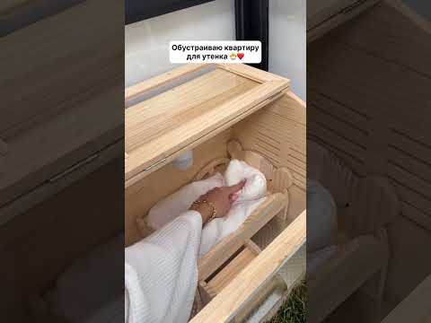 Артикул Яндекс маркет: YM10132731 Али: ALI121736972