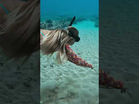I found the prettiest shell & a fishing weight on the ocean floor! #shorts