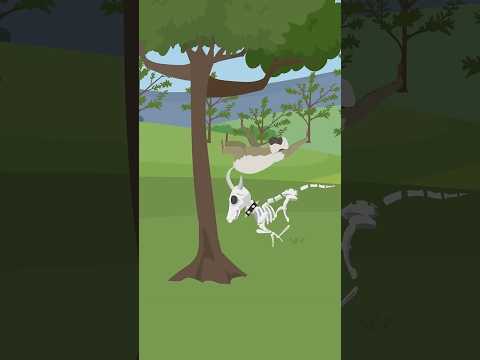 Moti Aur Bandar | One Minute Story | Cartoons | #cartoonanimal