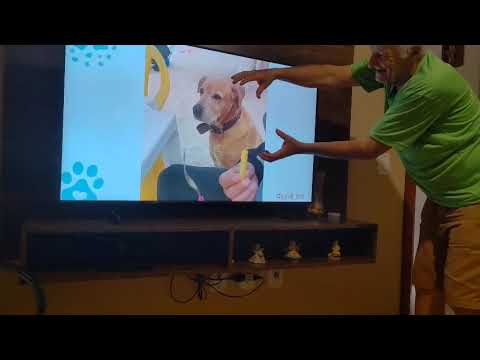 REAÇÃO EM FRENTE À TV - JÚLIO COM CIÚMES DO PAPITO #mariaeromildo #recantosossego #júlioJosé #pet