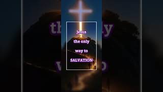 Jesus the only way!#shortvideo #jesus #christ .#bible #gospel #truth #christian #faith #spirit