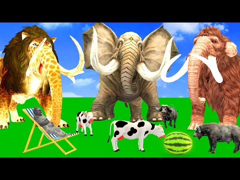 5 Giant Mammoth Elephant Cow Gorilla Vs 5 Monster Lion Mammoth Attack Cow Buffalo Saved by Mammoth