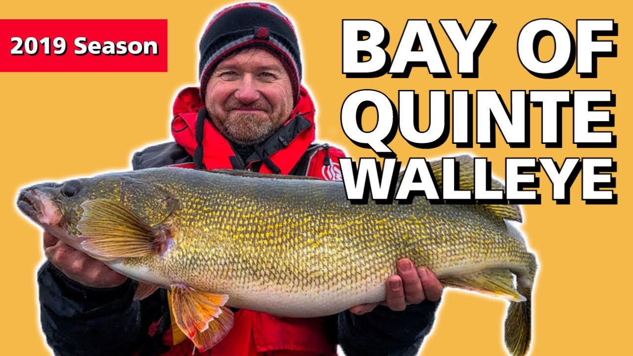 Bay of Quinte Walleye in the Fall - The Fishing Canada Show