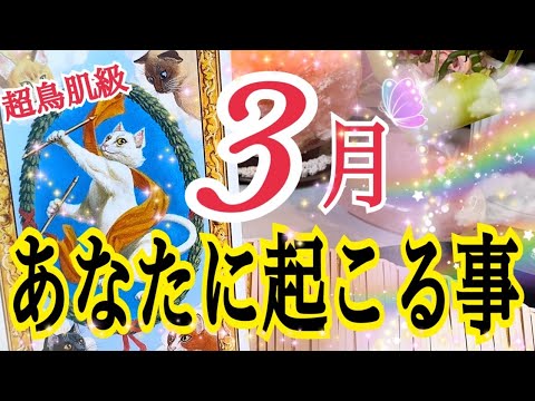 【超鳥肌級🕊️】3月あなたに起こる事🌸いよいよ始まる新しい流れ🔮⚡️個人鑑定級タロット占い💓