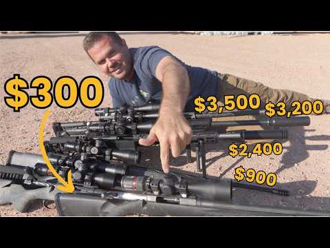 Can A $300 Rifle Beat A $3,000 Custom Build In Real Hunting Conditions?