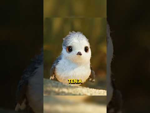 Este pájaro tiene miedo a las olas... 😢 #shorts