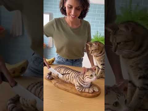 Calma gatinho #cakecut #cat #cakeprank