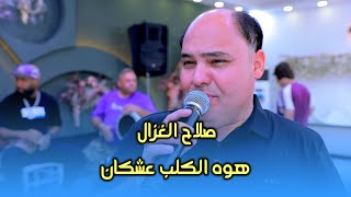 صلاح الغزال //هوه الگلب عشكان//حفله كورنيش الحله #المصورحسن_بيبي_07809006660 