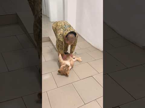 Чудеса случаются в Тайгане! Львенок, который не мог ходить, гуляет с Олегом Зубковым!