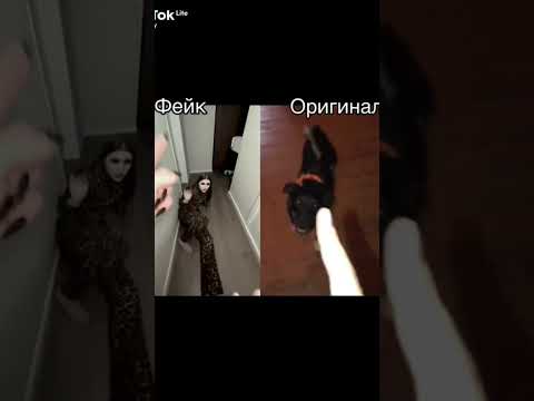А хто вам більше подобається??★