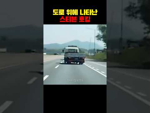 도로 위에 나타난 스티븐호킹