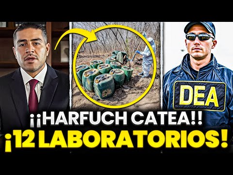 🚨¡¡ÚLTIMA HORA!! HARFUCH Y LA DEA CATEAN 12 NARCOLABORATORIOS DE LA CHAPIZA ¡¡EMPIEZA LA GUERRA!!