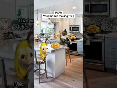 CAT MEMES 🐱Your mom is making fries #catmemes #relatable #relationship