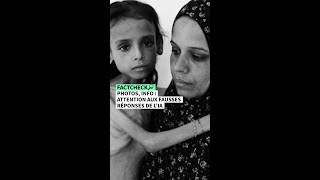 Photo, info : attention aux fausses réponses de l’IA