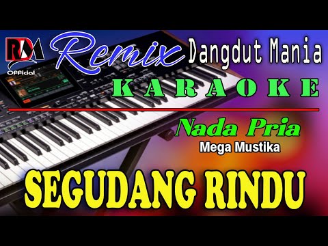 Segudang Rindu - Karaoke (Nada Pria) Mega Mustika - Dj Mix Dut Orgen Tunggal RDM Official