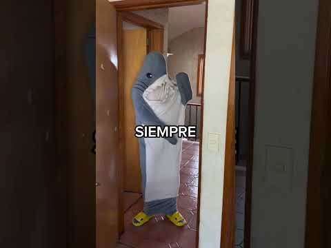 Shraky Chanclas, Sharklas o Sharkiez, el nombre que le quieras dar las consigues en Step Cozy