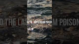 Pollution edit