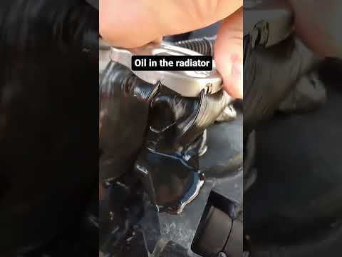Коли моторну оливу залили не туди #existua #funny #funnyvideos #shorts #automobile