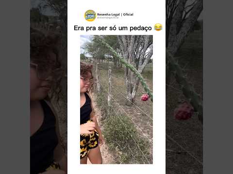 QUAL É O NOME DESSA FRUTA?