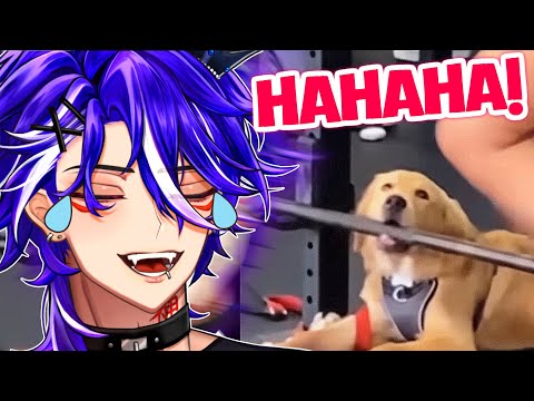 RiiKami Reacts to UNUSUAL MEMES 4